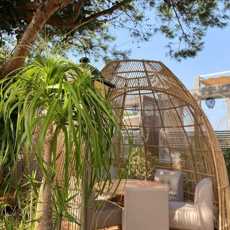Hotel Boutique Varadero ساهارا ذي لوس أتونِس المظهر الخارجي الصورة